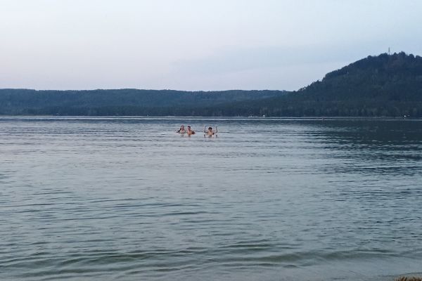 img-20240903-19474096998CB951A-77D9-21C5-51C3-C2334D2602D0.jpg