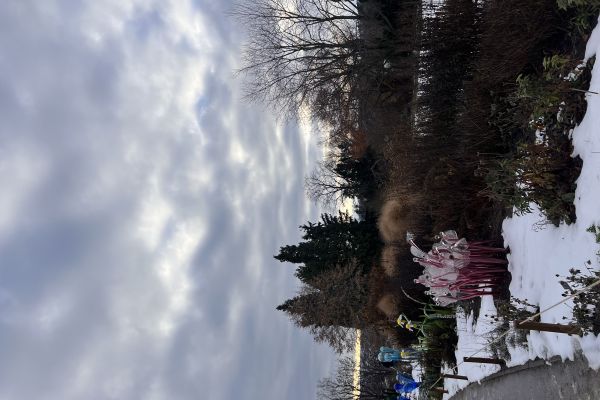 img-9498-00122F97251-5473-7383-E517-F3E1B6F417F3.jpeg