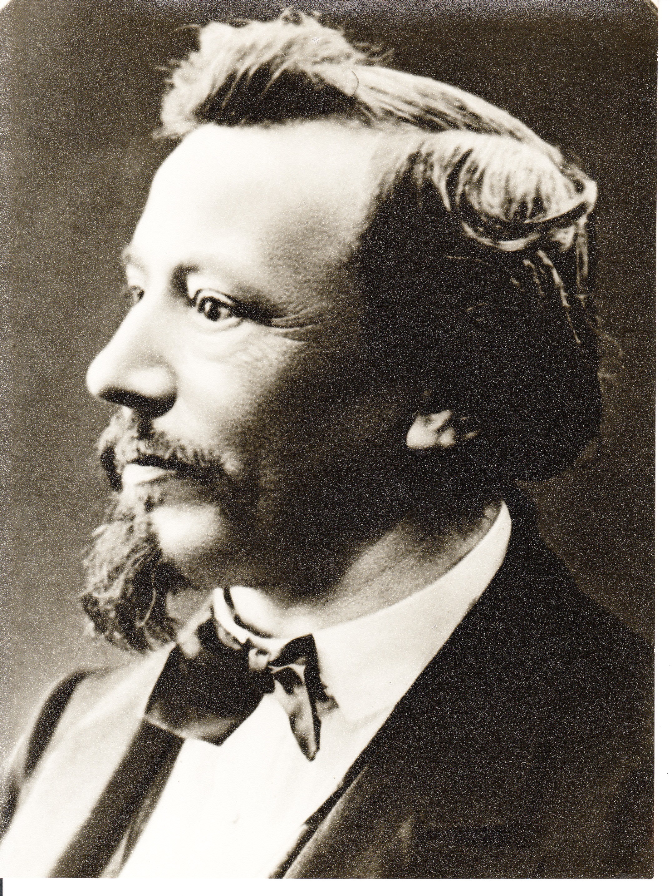 jan dvoracek